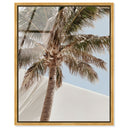 Monotone Tropics I