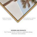Monotone Tropics I