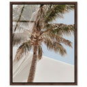 Monotone Tropics I