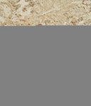 Siena 6586F Beige/Gold