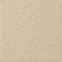 Amphora