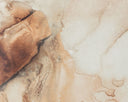 Fallen Petals III - 28" x 40" - Brown Floater Frame by Matho Sun, view 4