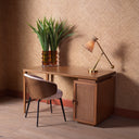 Metal Frame Dining Chair Camerota