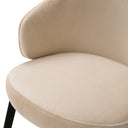 Metal Frame Dining Chair Camerota