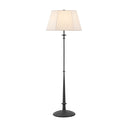 Black Iron Celmins Floor Lamp 22" by Hudson Valley