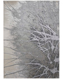Astra 39L5F Gray/Silver