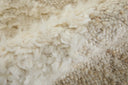 Ashby 8907F Ivory/Beige