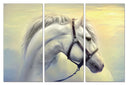 Stallion Canvas (Open Box)