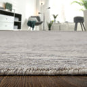 Brighton 69CHF Gray/Ivory