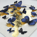 Butterfly Pins Prussian Bleu | Hand Embellished & Sculptural Gold Leaf Art by Oliver Gal, view 4