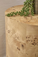 Burl Accent Table