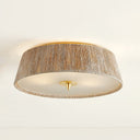 Aged Brass George Semi Flush 18" by Hudson Valley, view 3