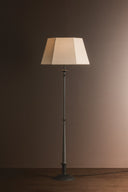 Black Iron Celmins Floor Lamp 22" by Hudson Valley, view 5
