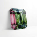 Multi-Color Gemstones | Acrylic Silhouettes