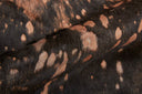 Ellyse RAIND Copper