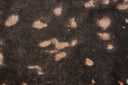 Ellyse RAIND Copper