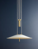 Aged Brass Emmons Pendant 30" by Hudson Valley, view 5