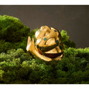 Brass Snail Box
