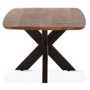 Rapallo 46" Coffee Table in Natural Mango Wood, view 5