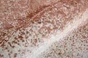 Grier 8636F Brown