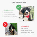 Iconic Traveler - Custom Pet Portrait