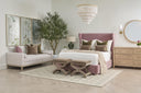 Gaston Ottoman