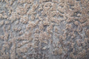 Haywood C6039 Gray/Ivory