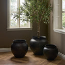 Kavya Planter