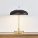 Aged Brass Hector Rechargeable Table Lamp 11" by Hudson Valley, view 2