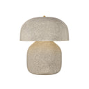 Ceramic Inked Crackle Leetown Table Lamp 14" by Hudson Valley