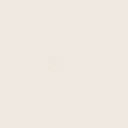 Ethnicraft Fabric Swatch