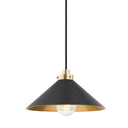 Aged Brass and Distressed Bronze Clivedon Pendant 12" x 6.5" by Hudson Valley