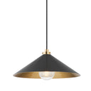 Aged Brass and Distressed Bronze Clivedon Pendant 20" x 8.5" by Hudson Valley