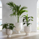 Osaka Discs Concrete Planter
