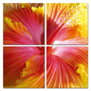 Hibiscus 4-Panel Photo on Canvas