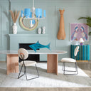 Acrylic Shark Objet