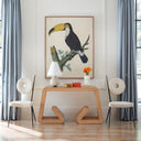 Barraband Toucans 1