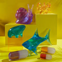 Medium Acrylic Pill