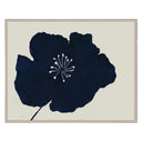 Susan Hable, Hellebores I (Var. 1)