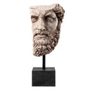 Marble Statue Bust of Lucius Verus