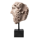 Marble Statue Bust of Lucius Verus
