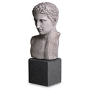 Marble Statue Bust Roman Imperial