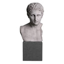 Marble Statue Bust Roman Imperial