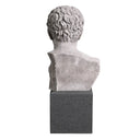 Marble Statue Bust Roman Imperial
