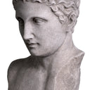 Marble Statue Bust Roman Imperial