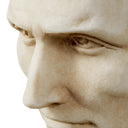 Rome Inspired Sculpture Bust of Julius Caesar