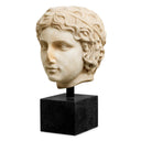 Roman Head Sculpture Bust of a Youth