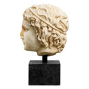 Roman Head Sculpture Bust of a Youth