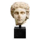 Roman Head Sculpture Bust of a Youth