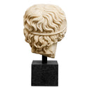 Roman Head Sculpture Bust of a Youth